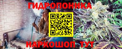 не бодяженный Краснознаменск