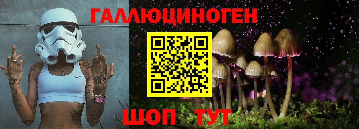 Галлюциногенные грибы мицелий  Псилоцибиновые грибы GOLDEN TEACHER  Кингисепп  как найти закладки  Вход с VPN 